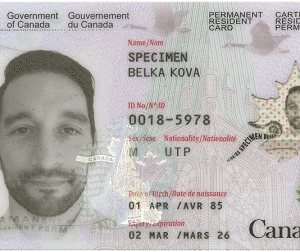 How to Buy a Temporary or Permanent Residence Card in Canada.